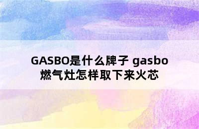 GASBO是什么牌子 gasbo燃气灶怎样取下来火芯